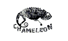  Поставка парок N3B от бренда CHAMELEON 