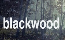  Поставка від бренду BLACKWOOD